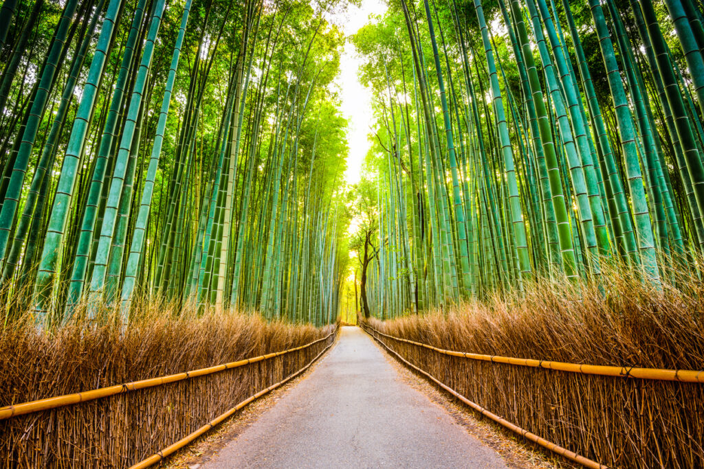 Kyoto, Japan